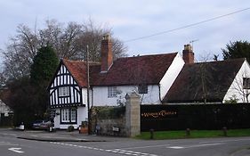 Daisy Cottage
